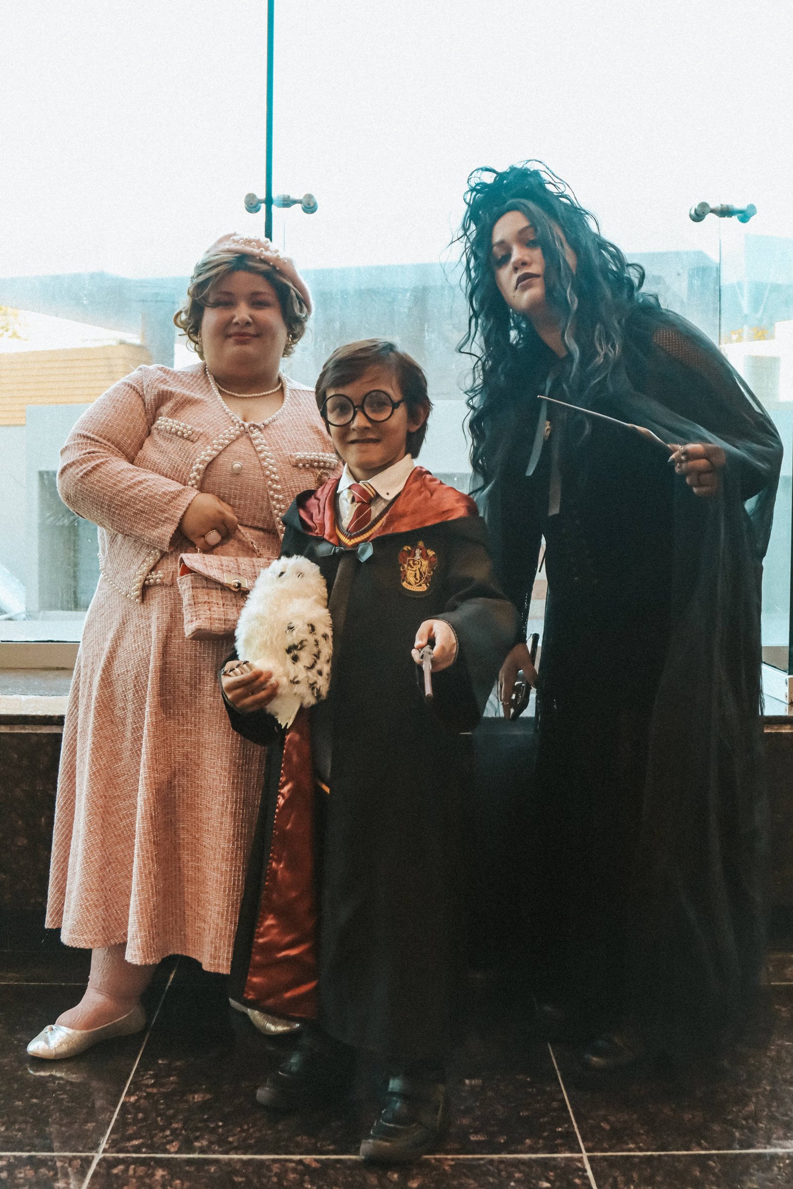 Harry Potter Symphonic Journey